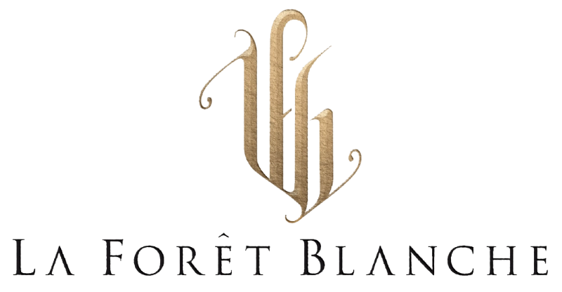 logo (1)